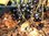 Ribes nigrum - Polnische Riesen-Johannisbeere