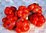 Solanum lycopersicum - Reisetomate