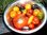 Solanum lycopersicum - Tomatensortiment