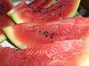 Citrullus lanatus - Russische Wassermelone "Olgas Schöne"