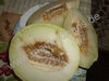 Cucumis melo - Melone "Irinas Süße Honig"