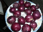Allium cepa - Rote Speisezwiebel 'Ochsenblut'