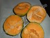 Cucumis melo - Melone "Noir des Carmes"