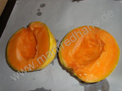 Cucumis melo - Melone "Delice de la Table"