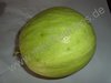 Cucumis melo - Melone "Carosello"