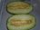 Cucumis melo - Japanische Melone "Naga Shima Uri"