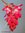 Ribes sanguineum - Blutjohannisbeere