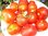 Solanum lycopersicum - Tomate "Humosa"