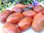 Solanum lycopersicum - Tomate "Boxing Shadow"