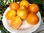 Solanum lycopersicum - Tomate "Sibirische Birne"